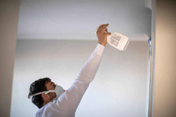 Best Commercial Mold Remediation in Rock Island, IL