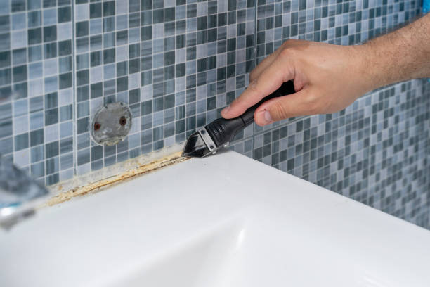 Best Bathroom Mold Remediation in Rock Island, IL